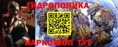 Альфа ПВП Дубна