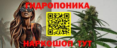 Альфа ПВП Дубна