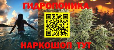 Альфа ПВП Дубна