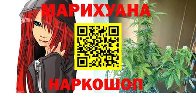 Альфа ПВП Дубна