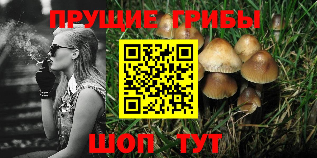 Галлюциногенные грибы Cubensis Медногорск