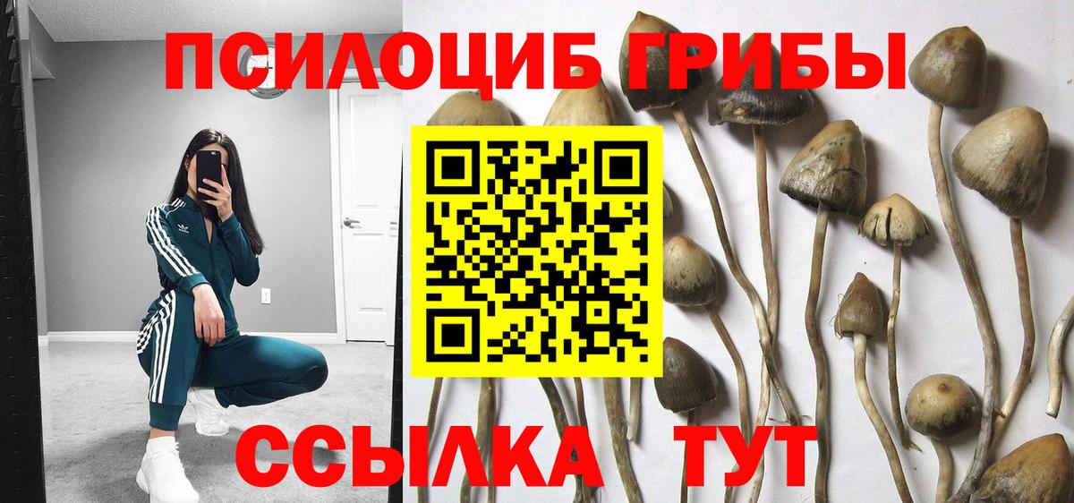 Галлюциногенные грибы ЛСД  купить  сайты  Вход с VPN  Медногорск  Псилоцибиновые грибы Magic Shrooms 